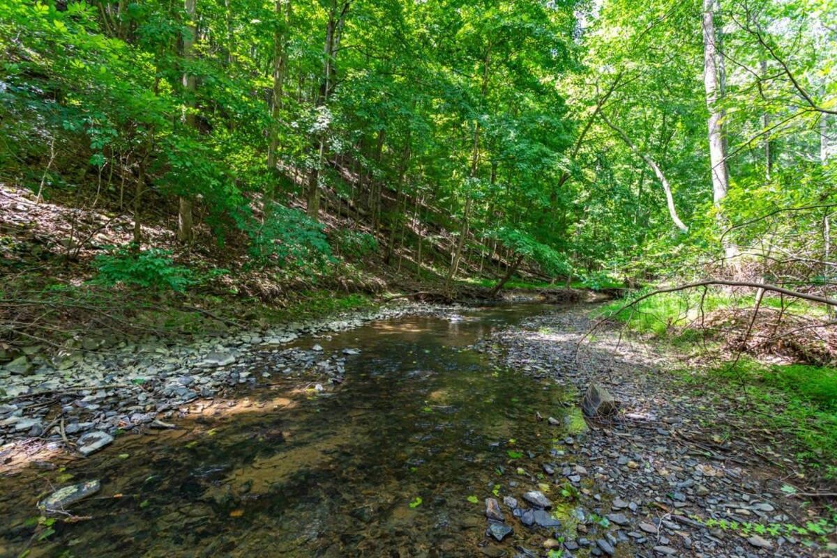 Hot Tub, Large Deck, Wifi, Fire Pit At Chalet Cabin Morton Grove Εξωτερικό φωτογραφία