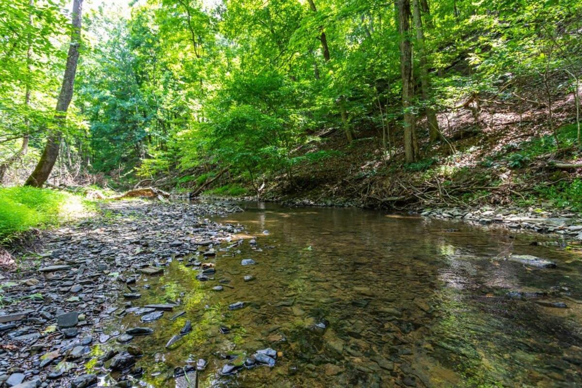 Hot Tub, Large Deck, Wifi, Fire Pit At Chalet Cabin Morton Grove Εξωτερικό φωτογραφία